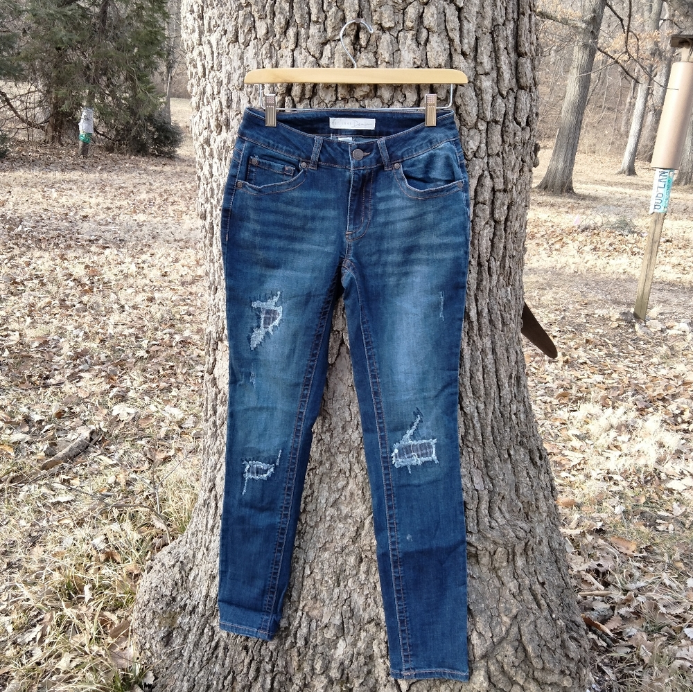 ⬇️ Price Drop!⬇️NWOT  EST 1946 Denim Skinny Jean in size 2
